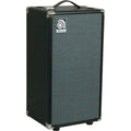 Ampeg Svt210Av Cassa Micro Bass
