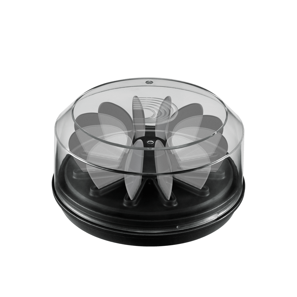 Planet Waves  Reggi Plettri 360