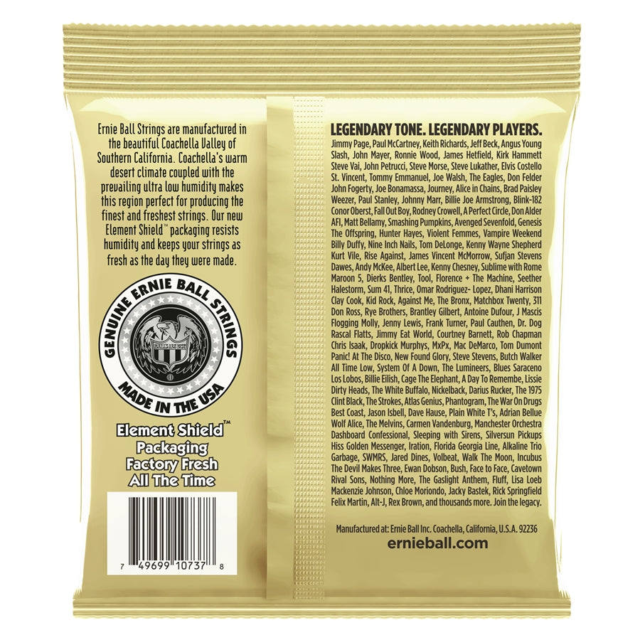 Ernie Ball 2013 Earthwood 12-String Custom Light Bronze 80/20