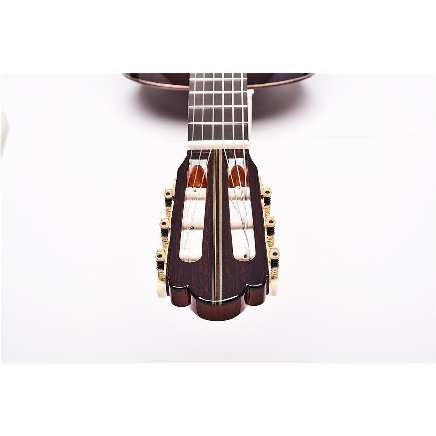 Esteve Hauser Classical Guitar