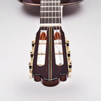 Esteve Hauser Classical Guitar Spruce