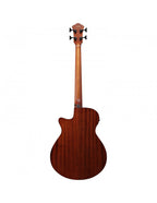 Ibanez Basso Acustico Elettrificato Black