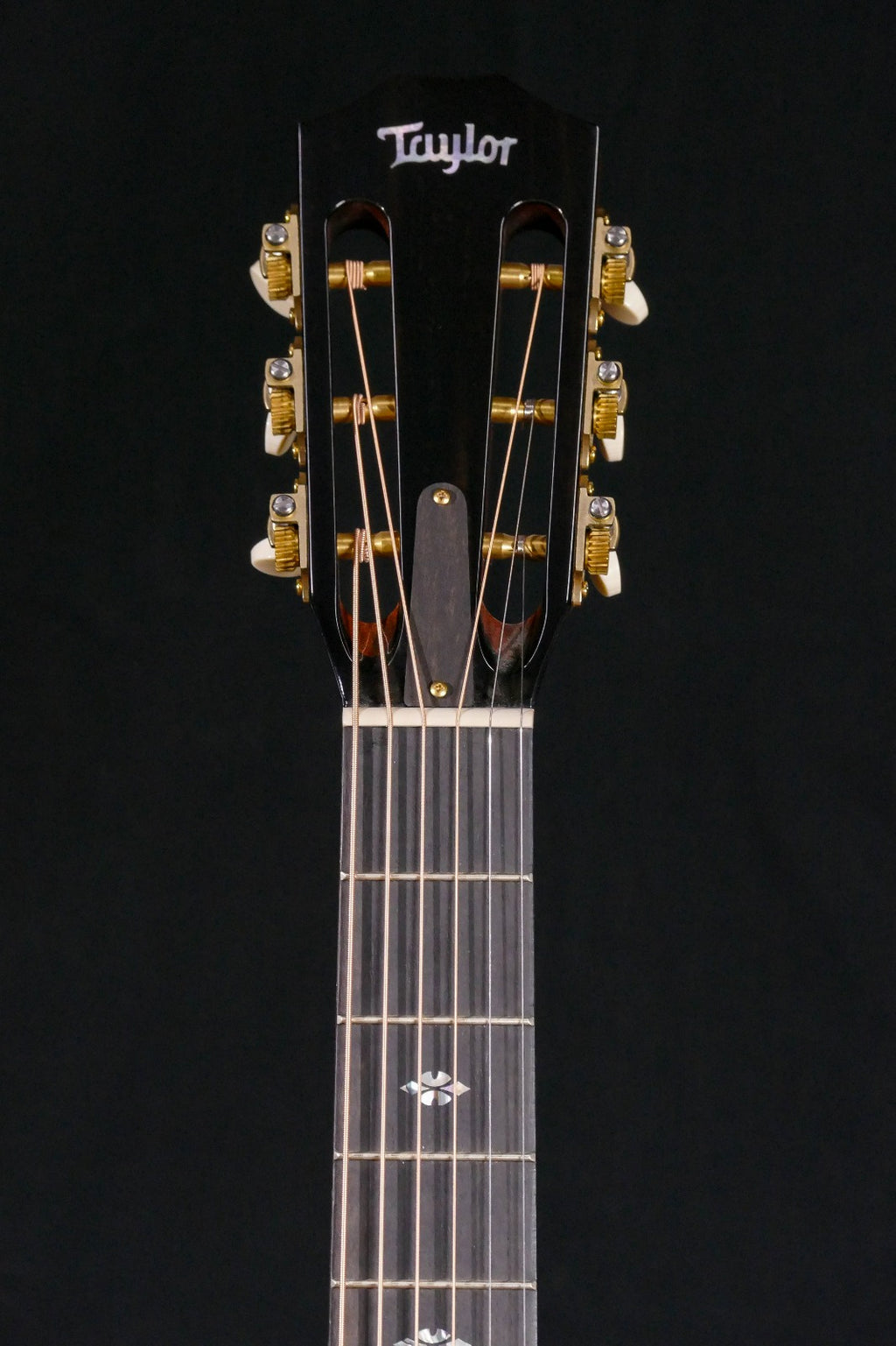 Taylor 710Ce Lutz Spruce Top Chitarra Acustica Dreadnought