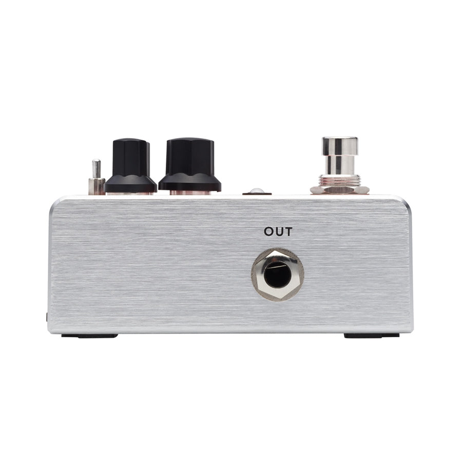 Fishman AFX AcoustiVerb Mini PRO-AFX-RV2 Riverbero