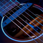 Fishman Rare Earth Mic Blend Active Soundhole Pickup (PRO-REP-103)