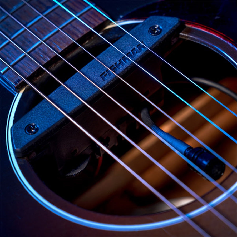 Fishman Rare Earth Mic Blend Active Soundhole Pickup (PRO-REP-103)