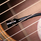 Fishman Rare Earth Mic Blend Active Soundhole Pickup (PRO-REP-103)