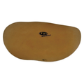Lp 219 Bongo Replacement Skin Hand Picked Flat Skin