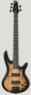 Ibanez Gsr205Sm-Ntg 5C Natural Grey Burst