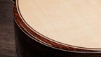 Taylor 858e LTD 12 String Rosewood Stika