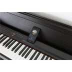Korg C1 Air BR - Marrone