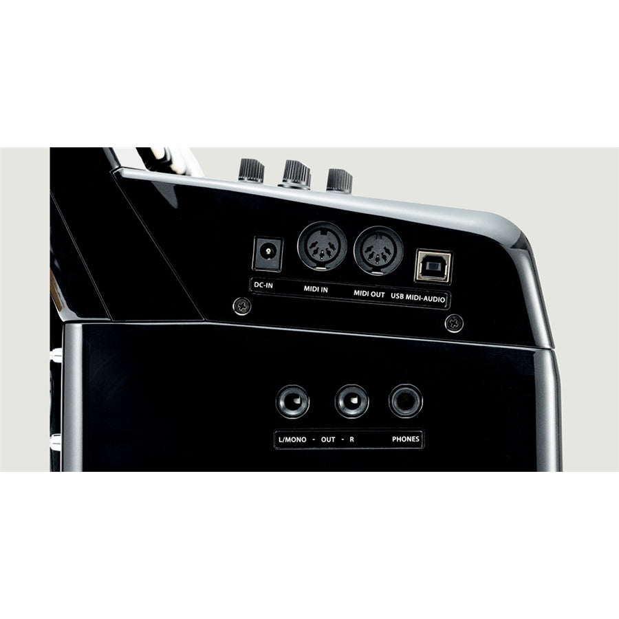 Korg FISA SUPREMA Button MBK