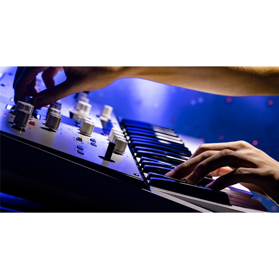 Korg KINGKORG NEO