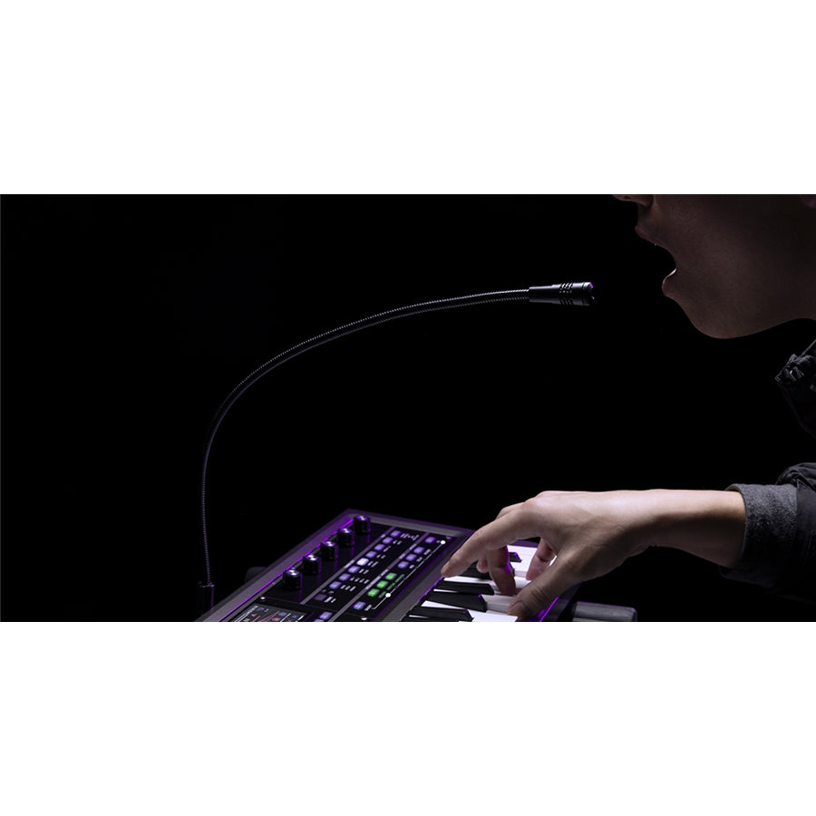 Korg MICROKORG 2 standard