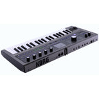 Korg MICROKORG 2 standard