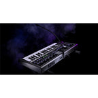 Korg MICROKORG 2 standard