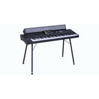 Korg PAAS 2
