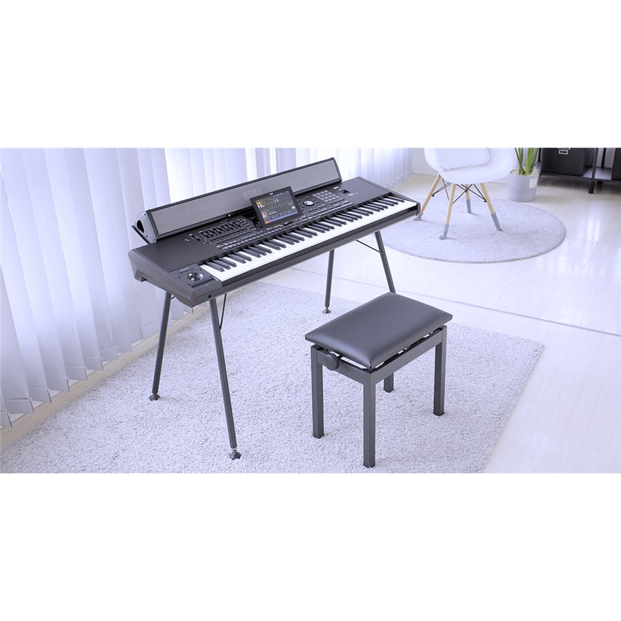 Korg PAAS 2
