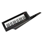 Korg RK-100S2-BLK