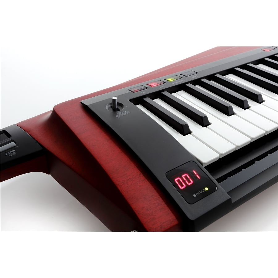 Korg RK-100S2-RD
