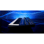 Korg WAVESTATE MKII