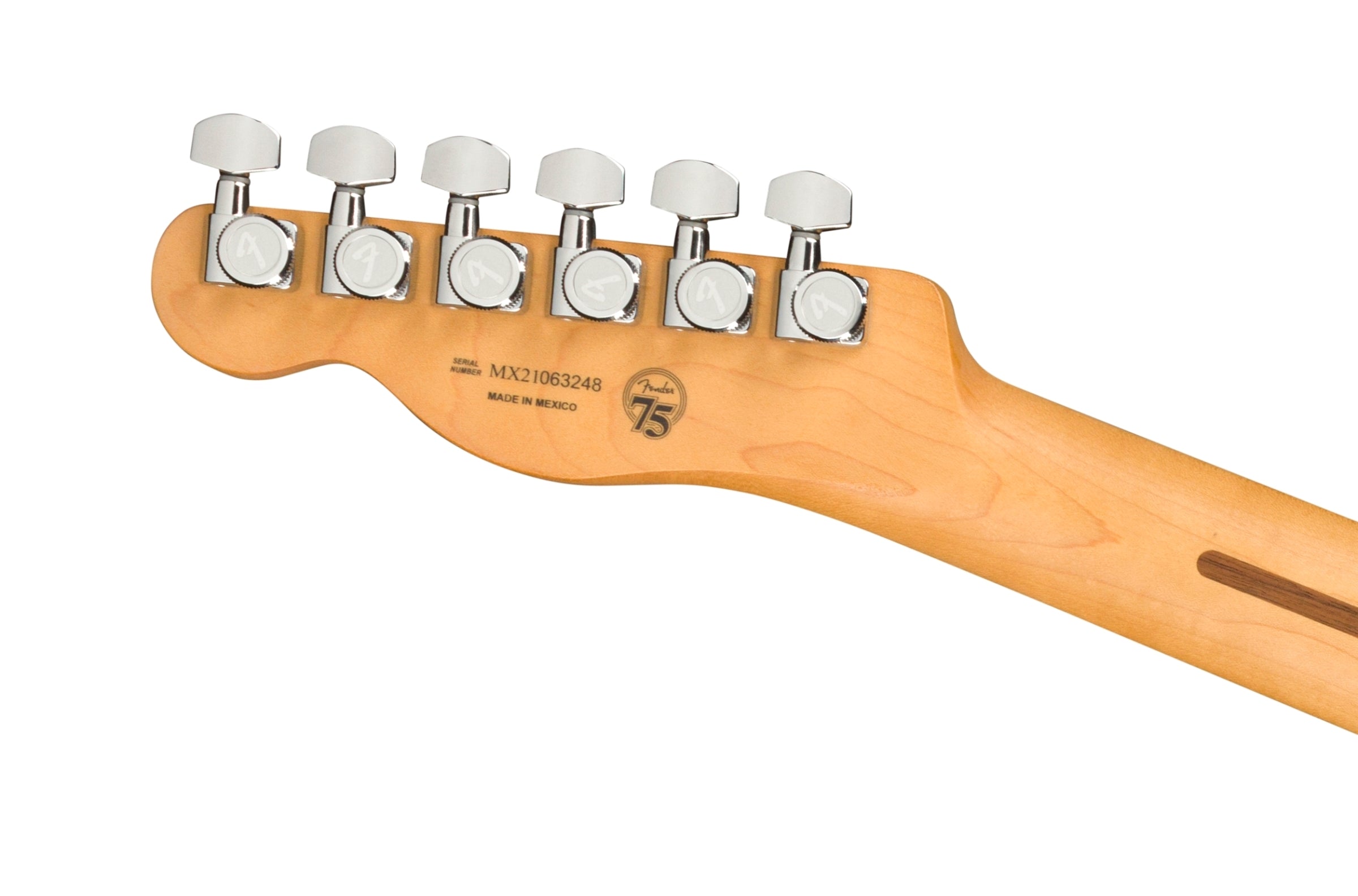 Fender Player Plus Telecaster Pau Ferro Silver Smoke