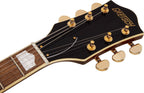 Gretsch G2410TG Streamliner Hollow Body con Bigsby Single Barrel