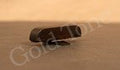 Gold Tone Mbtr M-Bass Thumb Rest