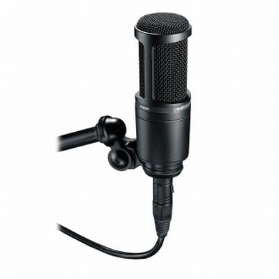 Audio Technica At2020 Microfono A Condensatore