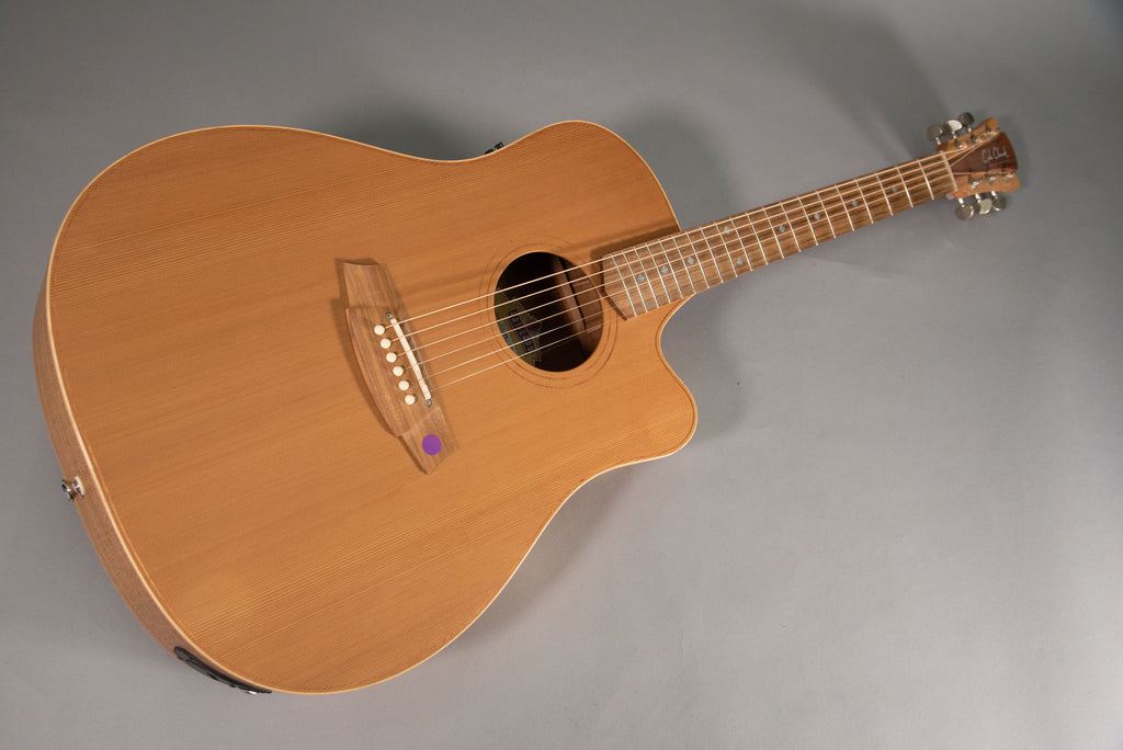 Cole Clark Fat Lady 2 Cutway