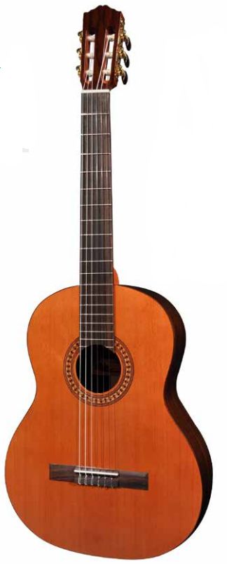 Salvador Cortez Cs32 Chitarra Classica 4/4