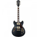 Ibanez AS73G BKF Black Flat