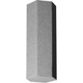Primacoustic Grey Dragon