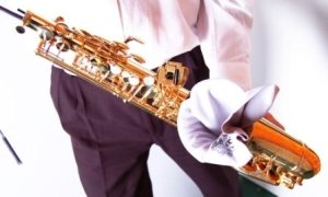 Bg A30 Panno Pulizia Sax Alto/Clarinetto Basso