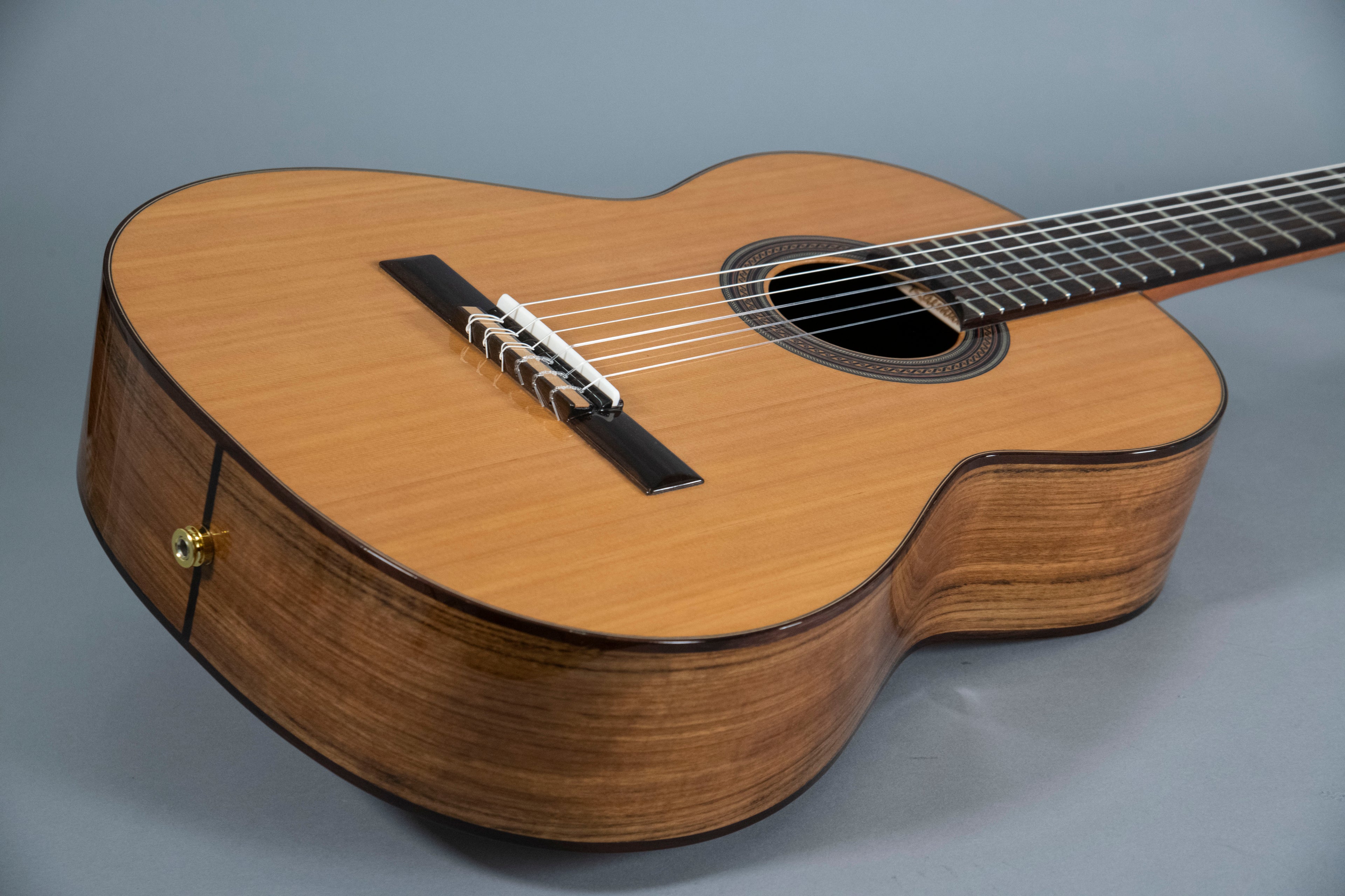 Raimundo 120E Cedar Chitarra Classica Elettrificata Fishman