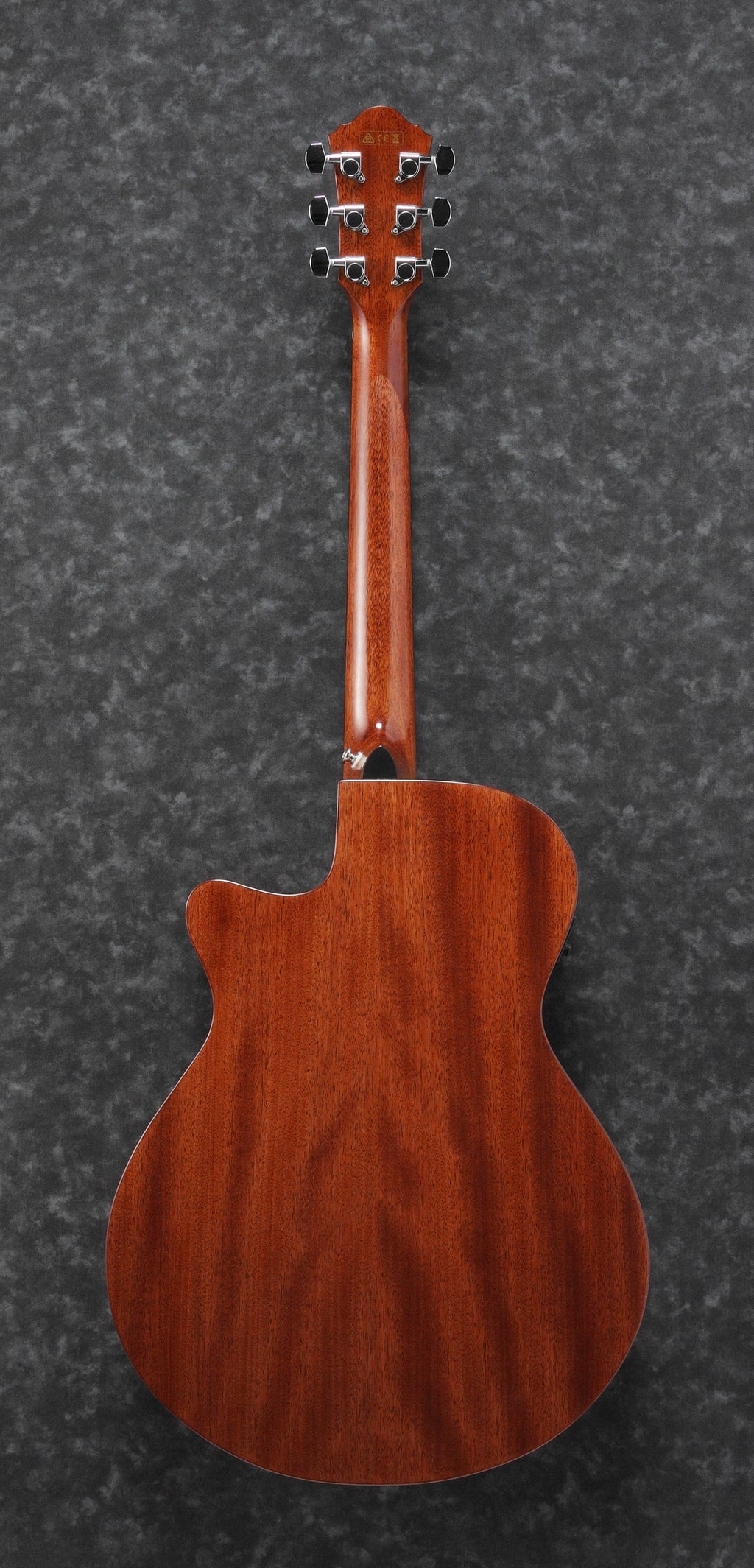 Ibanez Aeg220 Natural Low Gloss