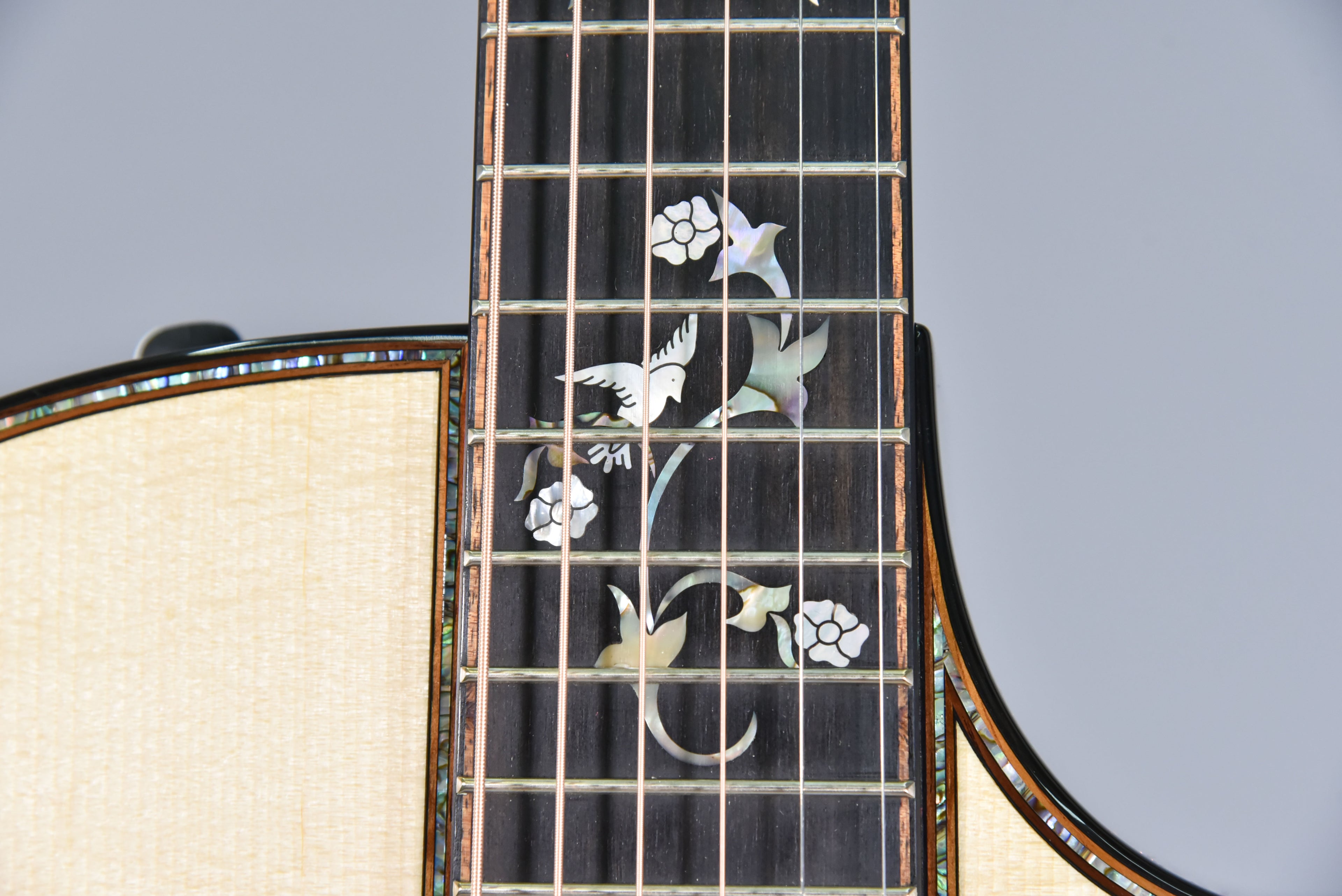 Taylor 914Ce Ltd V-Class Chitarra Acustica Elettrificata