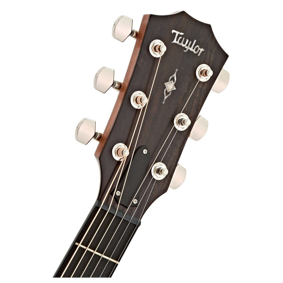 Taylor 314Ce V-Class Chitarra Acustica