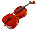 Bruck HDC01 Cello 4/4 Laminato con Astuccio