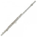 Yamaha Yfl312 Flute