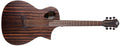 Michael Kelly FORTE EXOTIC JE - Chitarra acustica elettrificata - ''Port Tech'' - Java Ebony