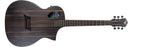 Michael Kelly Chitarra Acustica Elettrificata Fishman Ziricote