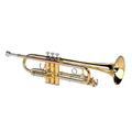 Alyse TR-6333 - laccata