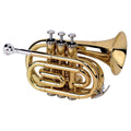 Alyse TR-6500 - laccata