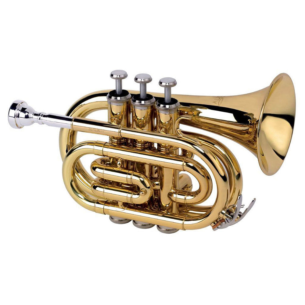 Alyse TR-6500 - laccata