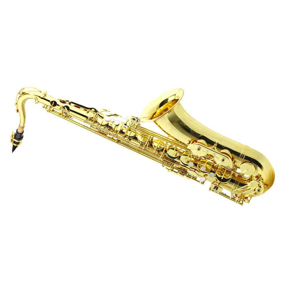 Alyse T-818L - laccato