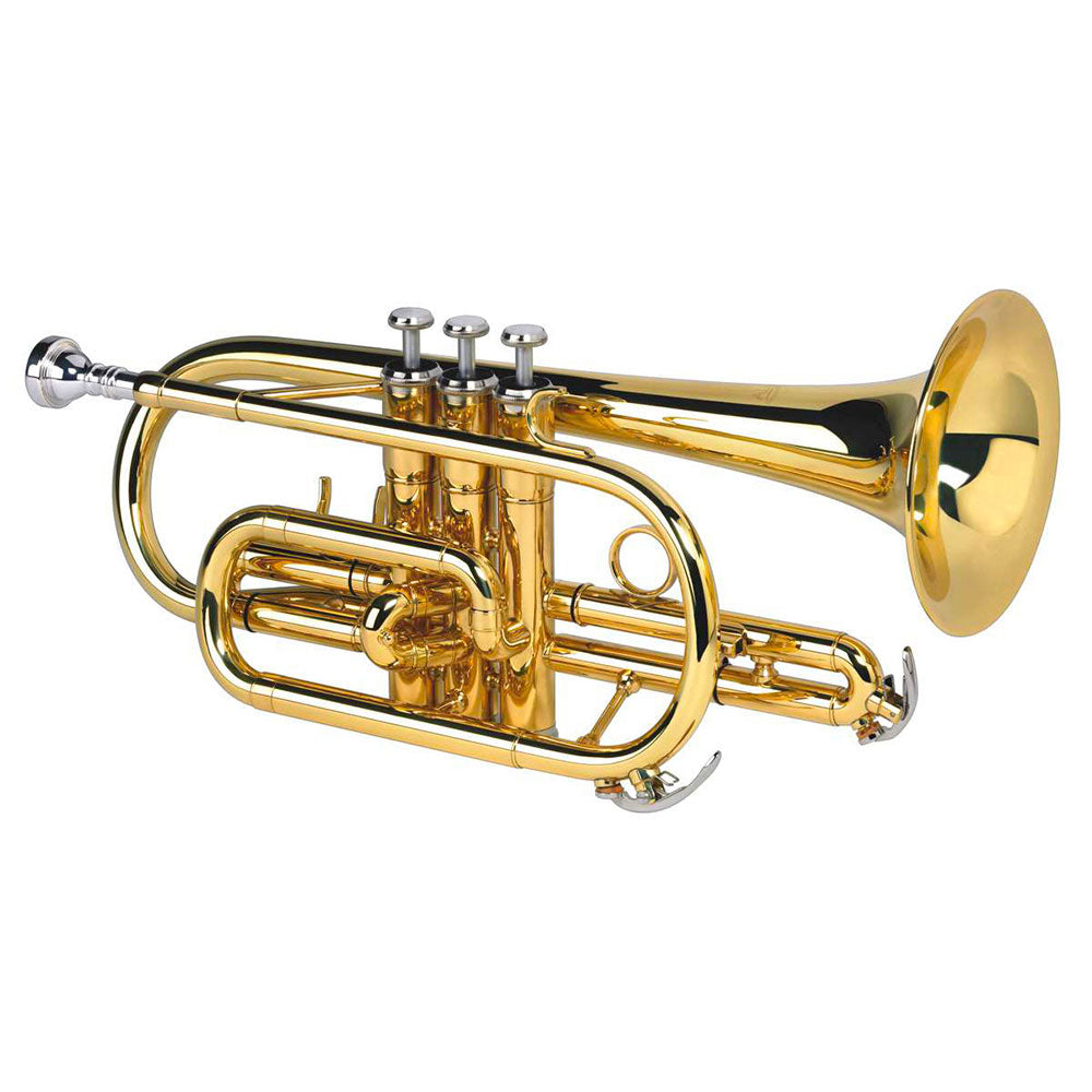 Alyse CR-8356 - laccata
