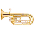 Alyse BH-401L - lacquered