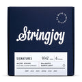 Stringjoy Signatures Balanced Super Light 9-42 Nickel Wound Electric Guitar