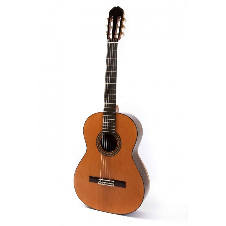 Raimundo 129 Cocobolo Cedar Chitarra Classica